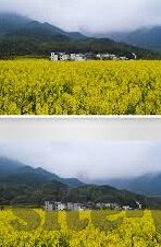 麻豆91幻星辰-麻豆91与幻星辰，揭开网络世界的神秘面纱