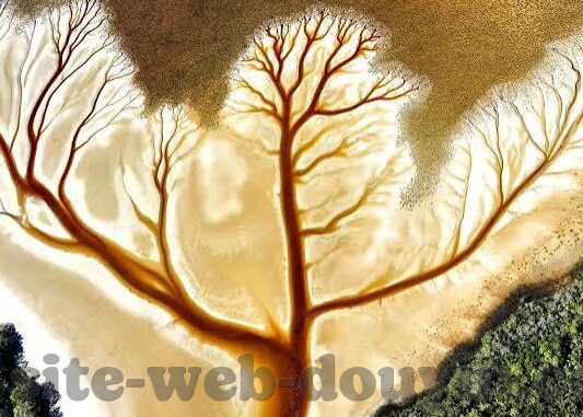 最近中文字幕完整免费视频1-探索当代文化新视角，最近中文字幕完整免费视频1的多元影响
